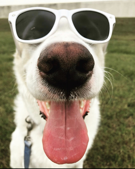 Roscoe