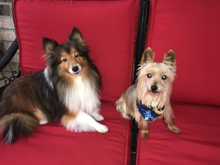 Marley and Max
