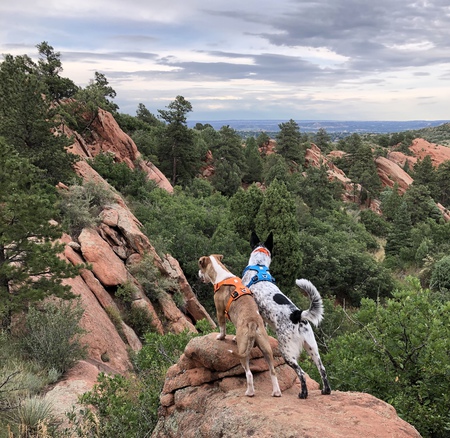 Colby & Brodie