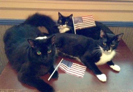 Bear, Buttons, and Oreo