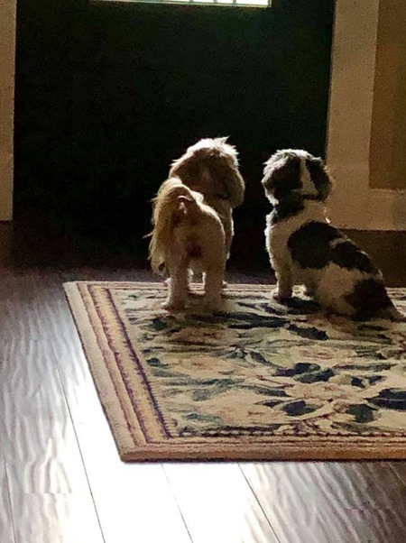 Jossie & Thomas