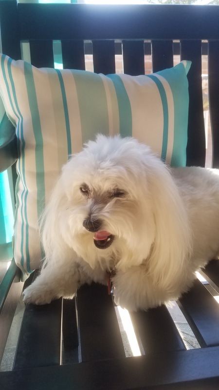 Caesar