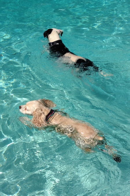 Sophie & Roxanne