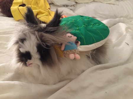 Oreo