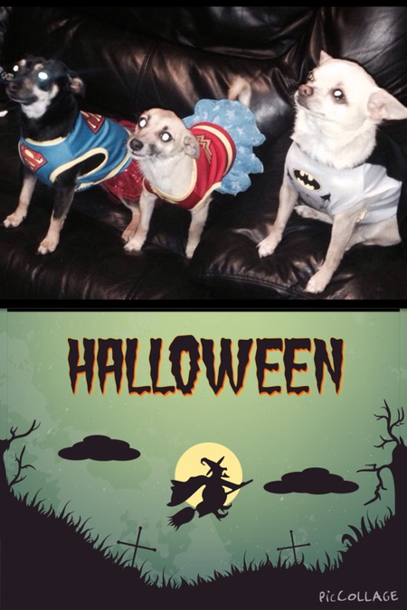 Honey, Princess, and Chip as the Justice League!