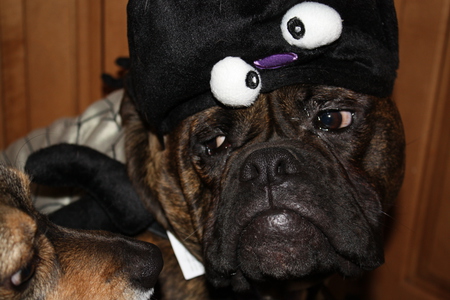 Gunny