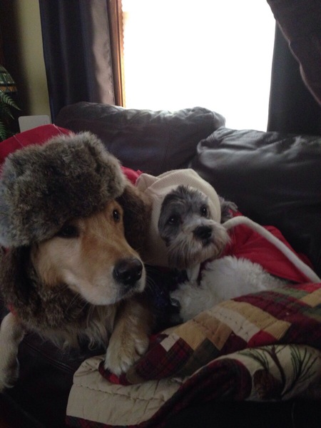 Doctor Zhidogo  and Countess Barksky