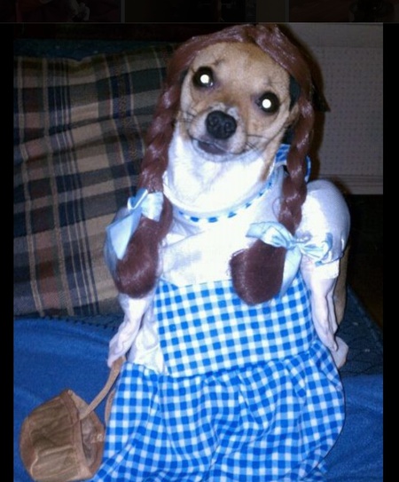 Lola