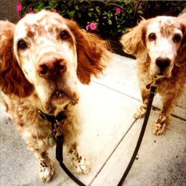 Chey and Teddie Gutman