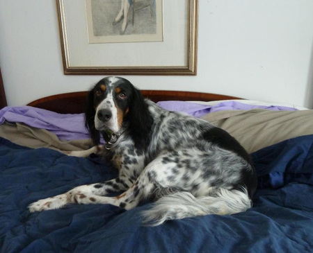 Duke Boensch
