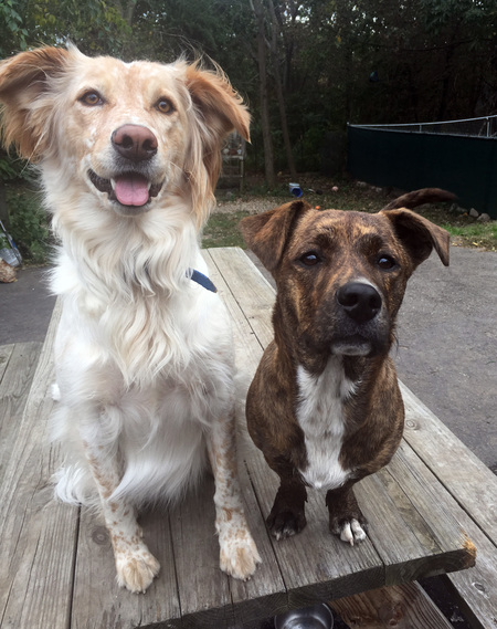 Luna Prince and Cooper