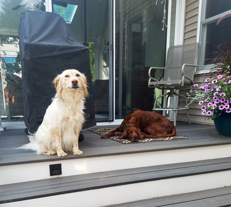 Luna Prince and Nellie Jordan