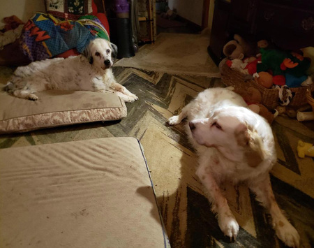Petey and Codee Kline