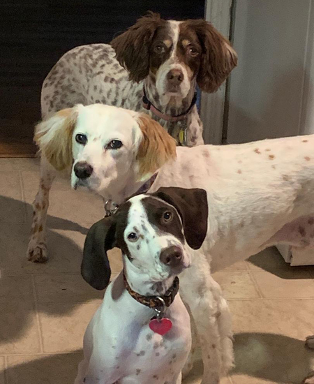 Red, Chance and Lucy Rahlfs