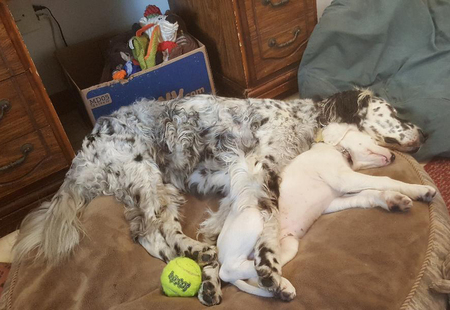 Sydney and Luna Arndt