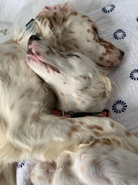 Willow and Walter Adamson