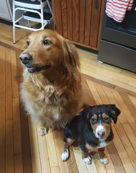 Zara and Salem DeHass