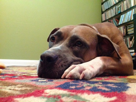Rosie "Mah Dog"