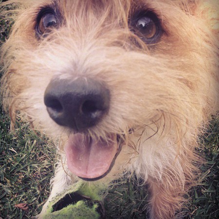 Lucy