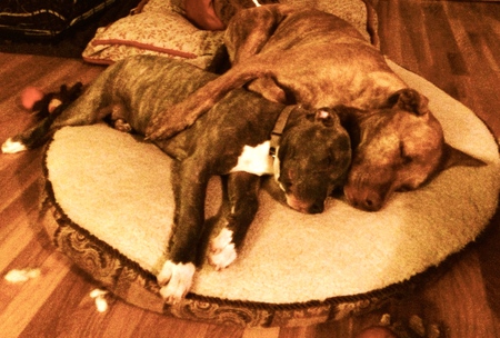 Jasper and Seisel
