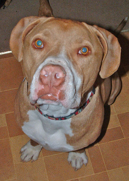 Zeus