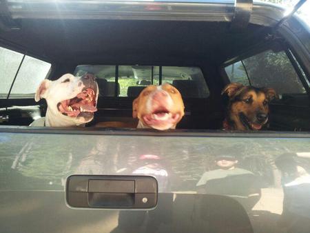 Rusty and Company