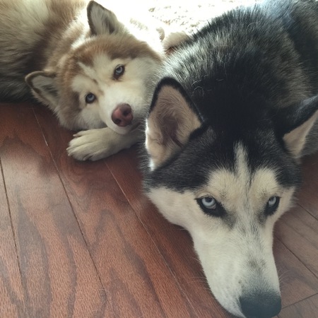 Zo and Maya