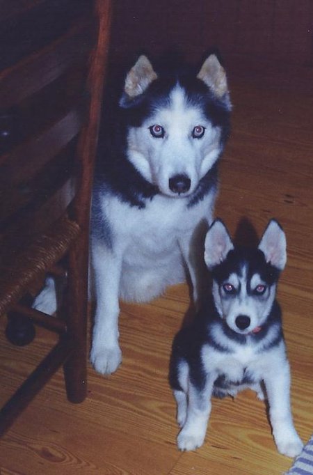 Boris and Misha