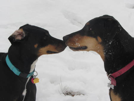 Ziggy & Cindy Lou