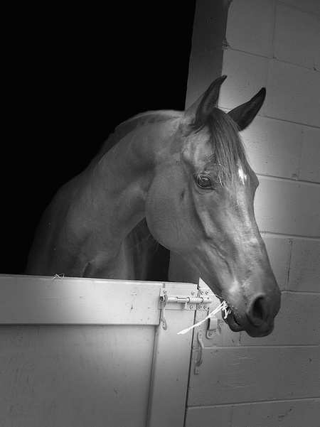 “Radar” Beautiful Boy
