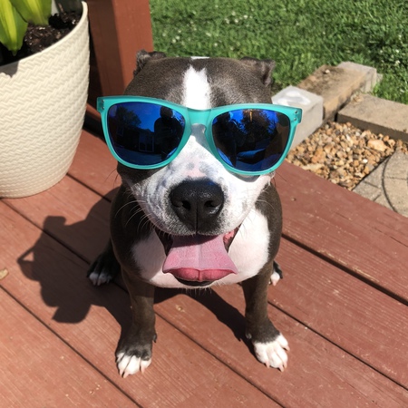 Roxy