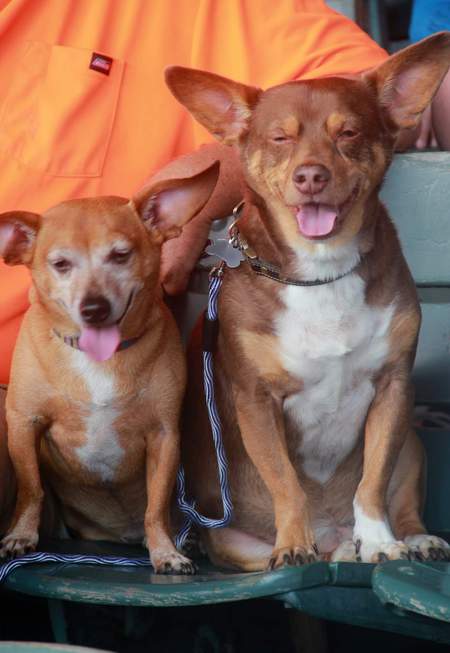 Winston & Cooper