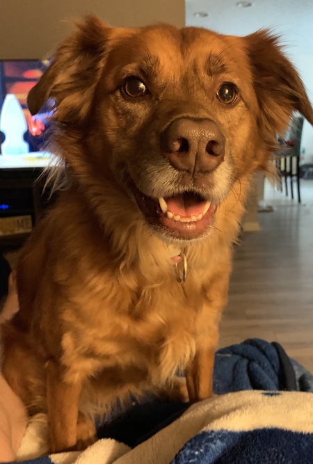 Remi