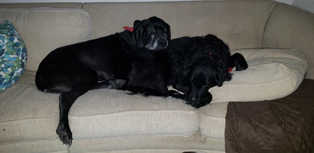 Nigel & Annabelle 