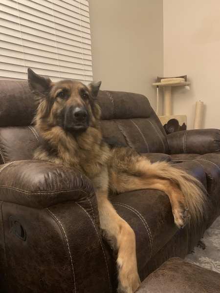 Sampson