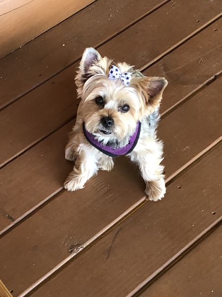 Josie
