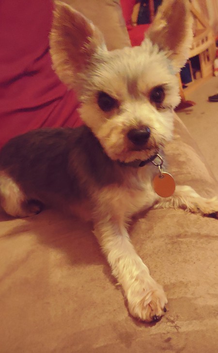 Maxwell Hoosier 