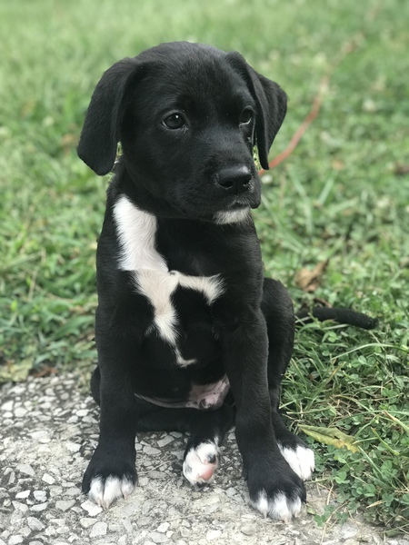 Jack 