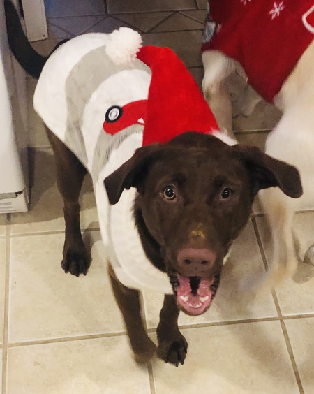 Coco