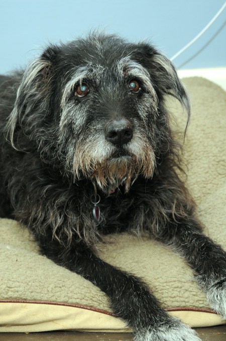 Millie