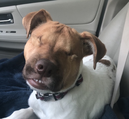 Molly