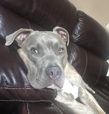 Zeus