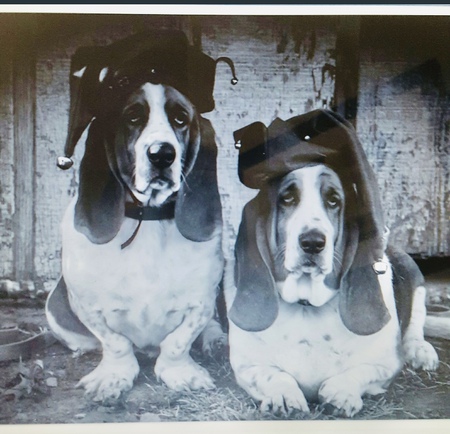 Bubba and Fritz Bittner Cardwell