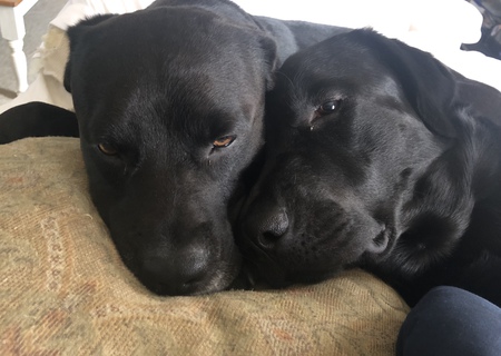 Bailey and Cooper Martin