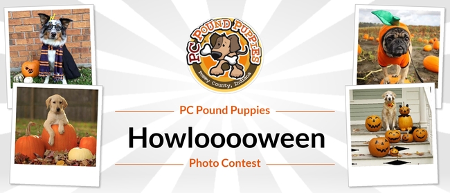 Posey County Pound Puppies Howlooooween Contest