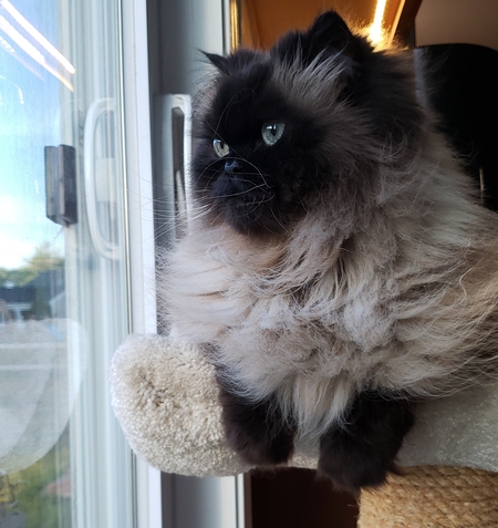 Leo