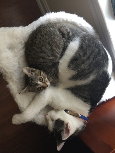 Trenta and Minnie