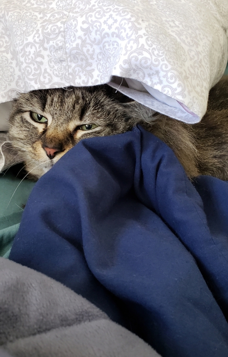 Artemis