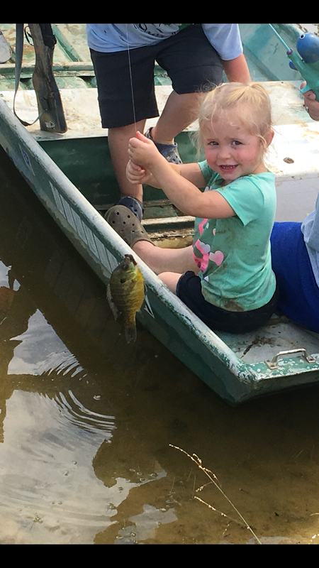 Addi Jayne Wilcox