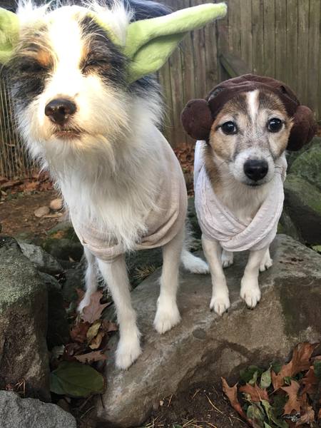 Gidget and Roo